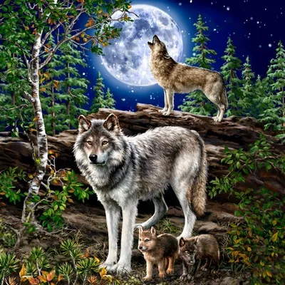Produktbild von 20 Servietten Wolf at the Moon - Wölfe am Mond 33x33cm
