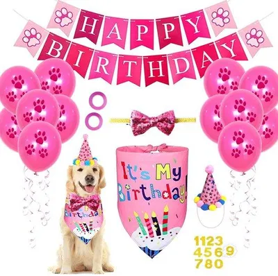 Produktbild von Hunde-Festtagsoutfit mit Hut und Bandana - Geeignet für kleine und mittelgroße Hunde