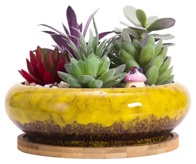 Zdjęcie produktu dla Duży doniczka do bonsai z podstawką - 18,5 cm. Żółty ceramiczny doniczka do sukulentów
