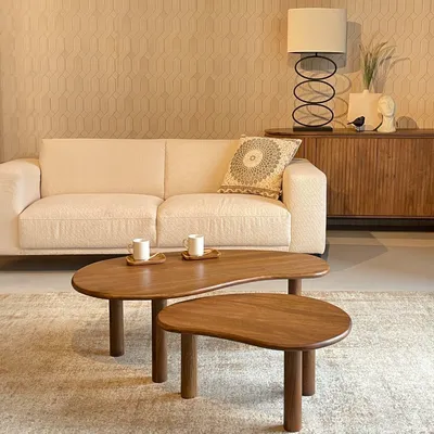 Productafbeelding van Livingfurn Salontafel Brix Nubi Organisch Mango Naturel Set van 2