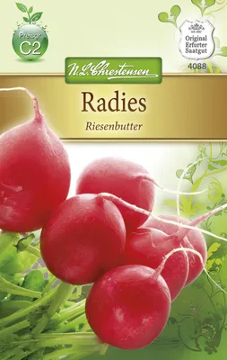 Produktbild von Radies Riesenbutter | Radieschensamen von N.L. Chrestensen