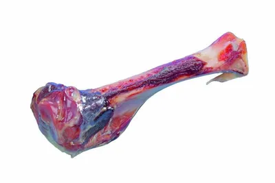 Obrázok produktu pre Talianska kosť M 17cm