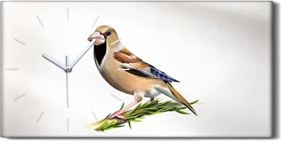 Produktbild von Wandbild Leinwand Bilder Wanduhr 60x30 Gemälde Abstrakter Zweig Tier Vogel Kunst - weiße Hände
