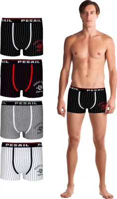 Produktbild von TEXEMP Herren Boxershorts Baumwolle 4er - 12er Pack Unterhose Retroshorts Boxer Shorts Trunks Underwear | B15 - M - 4 Stück
