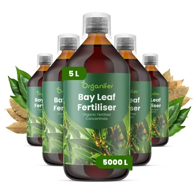 Produktbild von Lorbeer Flüssigdünger 5x1L – 3-4-3 NPK – Flüssigdünger Für Kräuter & Zierpflanzen – Fördert Vitalität & Aroma – Organifer