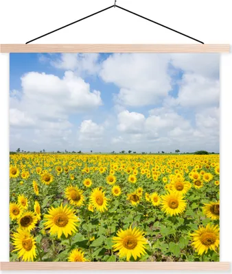 Produktbild von MuchoWow® Textilposter Sonnenblumen - Blumen - Wolken - Natur - Gelb - Landschaft 40x40 cm mit holzfarbenen Rahmen - Posterleiste