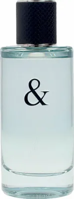 Image de Tiffany & Co love for him Eau de Toilette 90ml