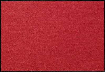 Fussmatte Salonloewe Rot 40x60 cm