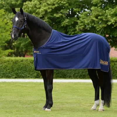 Produktbild von Bucas Abschwitzdecke Prize Cooler Navy/Gold 125