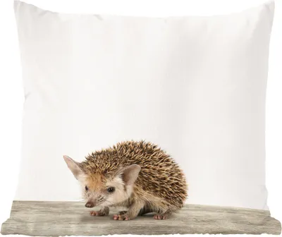 Produktbild von MuchoWow® Zierkissen Sofakissen Wohnzimmer Dekokissen 45x45 cm Tiere - Igel - Baby - Schlafpolster - Polster für das Sofa