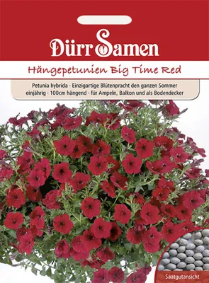 Produktbild von Dürr-Samen - Petunien Big Time Red einjährig 100 cm - Saatgut - 1093