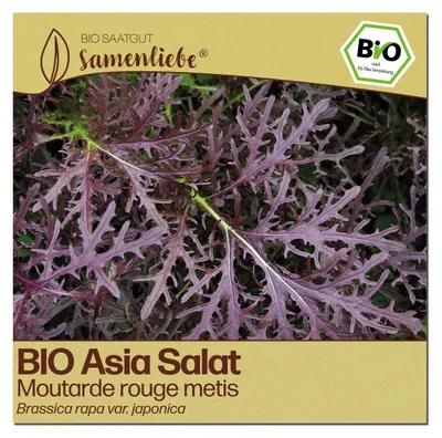 Produktbild von Samenliebe  Asia Salat Samen | Moutarde rouge metis - winterhart - samenfestes  Saatgut