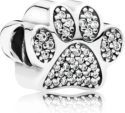 A close-up studio shot of a silver paw print charm with clear stones.