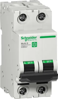Zdjęcie produktu dla Schneider Electric C60SP, IP20