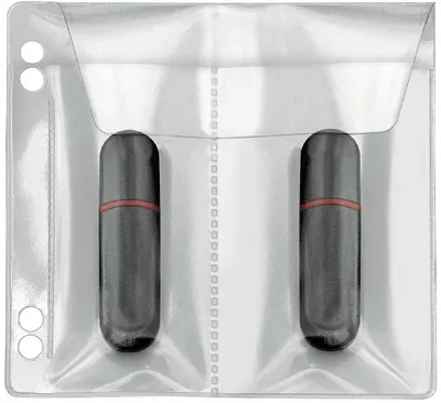 Image de VELOFLEX 4377100 Pochettes classables 100