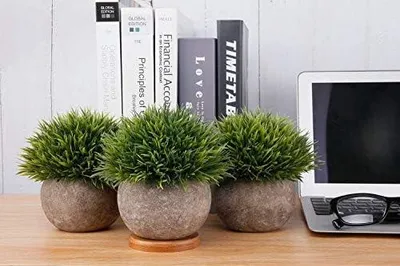 Produktbild von T4U Künstliche Pflanzen Grün Graspflanzen Kunstpflanze mit Grauen Topf, Klein Kunstpflanze Sukkulenten Künstlich Deko Fake Plant für Hochzeit Büro Zuhause Wohnung Dekoration, Grün 3er Set