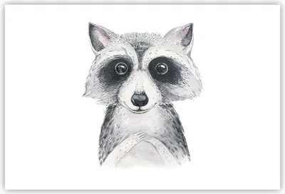 Produktbild von Poster - Poster ohne Rahmen - Waschbär Bild Kinder - 91,5x61 cm - Wand Bild - Wanddeko - Wandbilder - Kunstposter - Wandposter - Bilder - Kunstdruck - Wanddekoration - Wandbild - P2XAA91x61-4607