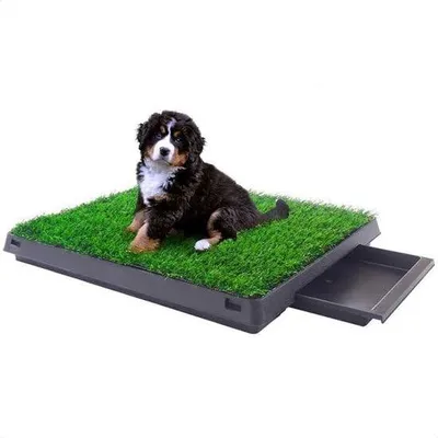 Immagine prodotto di Lettiera per cani in erba sintetica - Vaschetta raccoglitrice removibile - Sistema a tre strati - Adatta per interni ed esterni - Ideale per l'addestramento dei cuccioli - Dimensioni: 50 x 64 cm - Lettiera per cani