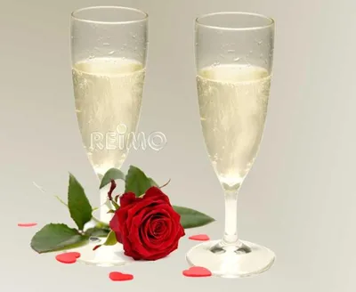 Immagine prodotto di Camp4 bicchiere da champagne Provence 160 ml in policarbonato