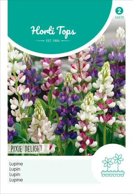 Zdjęcie produktu dla Lupina Pixie Delight | Nasiona lupiny firmy Hortitops