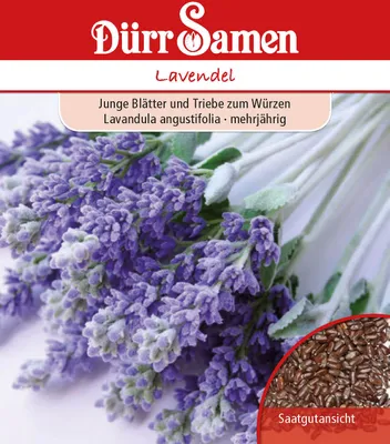 Produktbild von Lavendel | Lavendelsamen von Dürr Samen