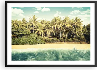 Produktbild von Gerahmtes Poster - Schwarzer Rahmen - Natur Strand Palmen - 70x50 cm - Wand Bild - Wanddeko - Wandbilder - Kunstposter - Wandposter - Bilderrahmen - Bilder - Kunstdruck - P2BAA70x50-4915