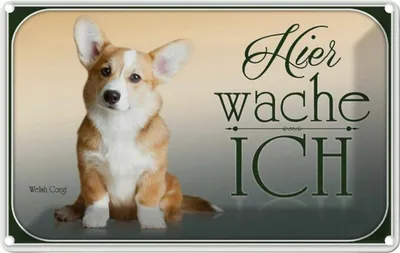 Produktbild von vianmo Blechschild 12x18 cm Hund Chihuahua hier wache ich Tier Haustier