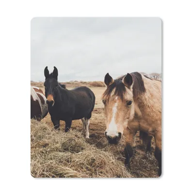 Produktbild von MuchoWow® Mauspad Mousepad Tiere - Pferd 19x23 cm - Mousepads - Maus Mat - Pad - Mausunterlage - Mauspads - Spielen
