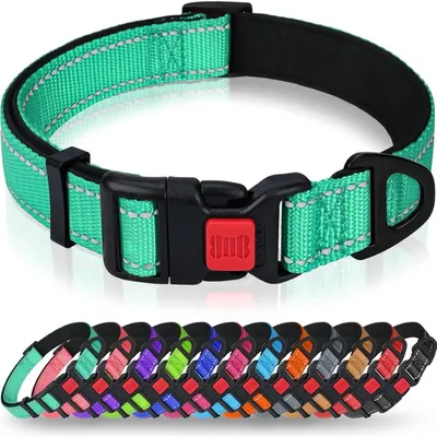 Immagine prodotto di Collare per cani, neoprene e nylon, regolabile, riflettente, color turchese, taglia XS (20-30 cm)