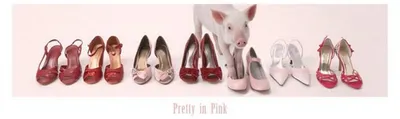 Zdjęcie produktu dla Pretty In Pink – But – 30,5 x 91,5 cm – Plakat