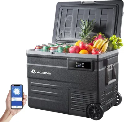 Immagine prodotto di Frigorifero portatile da 55 litri con compressore, controllabile tramite app e con alimentazione a 12/24V o a 100-240V