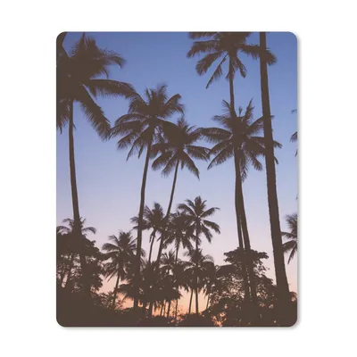 Produktbild von MuchoWow® Mauspad Mousepad Palme - Tropisch - Sommer - Himmel 30x40 cm - Mousepads - Maus Mat - Pad - Mausunterlage - Mausmatten