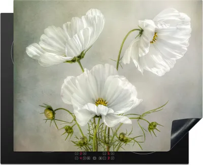 Produktbild von KitchenYeah© Herdabdeckplatte Blumen - Stillleben - Mohn - Weiß - Botanisch , 65x52cm, Küche Deko, Glaskeramikkochfeld Herdabdeckung, Abdeckplatte fùr Kochfeld