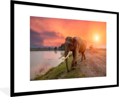 Produktbild von MuchoWow® MuchoWow® Gerahmtes Poster Elefant - Wasser - Tiere - Sonnenuntergang - Natur 90x60 cm - Poster mit zchwarzem Bilderrahmen - Wanddekoration - Fotos
