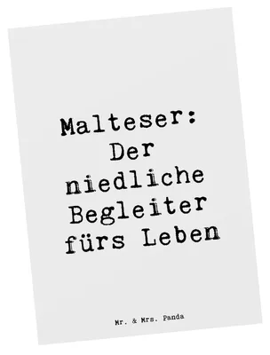 Produktbild von Mr. & Mrs. Panda Postkarte Spruch Malteser Begleiter - Weiß - Geschenk, Hunderasse, Hunderassen, Ansichtskarte, Fotokarte, hypoallergene Hunde, Hundeliebhaber, Pflege