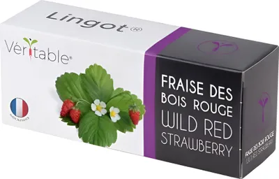 Obrázek produktu pro Véritable 3760262511368, Jedlá rostlina, Strawberry, Náhradní náplň, Pomalý růst (8-12 týdnů)