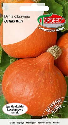 Produktbild von Samen von Uchiki Kuri 2g Riesenkürbis - Torseed