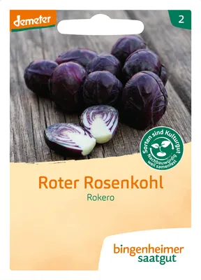 Artikelbild 2 von 'BIO Roter Rosenkohl Rokero' aus der Kategorie Rosenkohlsamen