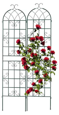 Productafbeelding van Klimrek voor planten, set van 2, 220 x 50 cm, metalen klimhulp, vrijstaand en groen, ideaal voor de tuin