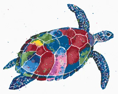 Produktbild von Zuty - Malen nach Zahlen - BUNTE SCHILDKRÖTE, 40x50 cm, mit Keilrahmen (bereits gespannt)