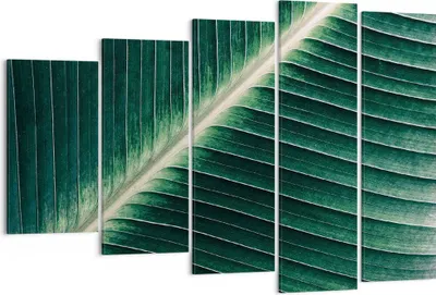 Produktbild von Bild auf Leinwand - Leinwandbild - 5 Teile - Grün Blatt Tropisch - 150x100cm - Wand Bild - Wanddeko - Wandbilder - Leinwanddruck - Bilder - Wanddekoration - Leinwand bilder - Wandbild - EG150x100-4126