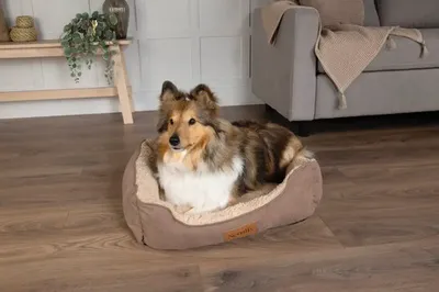 Produktbild von Hundebett Scruffs Cosy Box Bed Braun ca. 50 x 60 x 30 cm