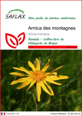 Image de SAFLAX  - Arnica des montagnes - 40 graines - Arnica