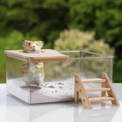 Produktbild von Navaris Hamstersandbad, transparente Box mit massivem Holzdeckel, für Hamster, Zwerghamster und Mäuse, 20.5 x 15 x 8 cm