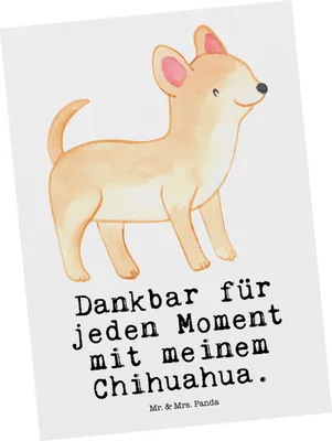 Produktbild von Mr. & Mrs. Panda Postkarte Chihuahua Moment - Weiß - Geschenk, Ansichtskarten, Ansichtskarte, bildkarte, Grußkarte, Postkarten