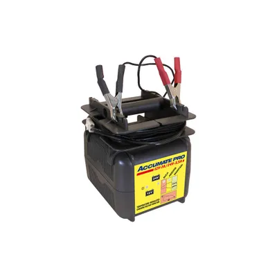 Image de Chargeur de batterie Tecmate accumate Pro 12V/24V