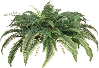 Imagen del producto de Plantas artificiales con un diámetro de 95-105 cm, plantas colgantes tipo Boston con 80 flores y maceta, plantas decorativas artificiales para el hogar, la oficina y el exterior