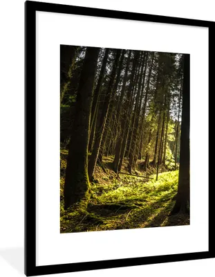 Produktbild von MuchoWow® Gerahmtes Poster Baum - Natur - Sonne - Wald 60x80 cm - Poster mit Schwarzem Bilderrahmen Wandposter Rahmen Foto Bilder - Wohnzimmer - Dekorationen - Prämie