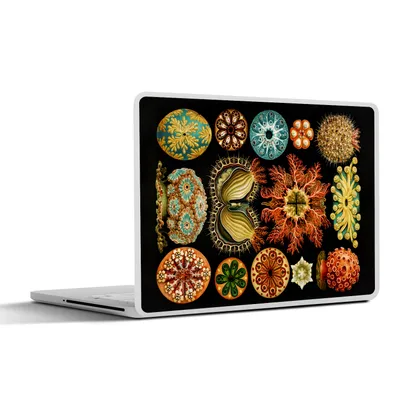 Produktbild von MuchoWow® Laptop Aufkleber Sticker Cover Vintage - Ernst Haeckel - Meerestier - Natur - Meer - Kunst 30x22 cm - Laptop-Sticker