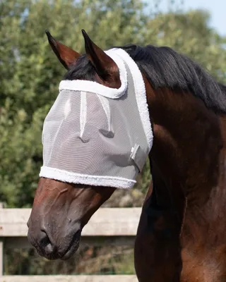 Produktbild von Fliegenmaske ohne Ohren Fliegenschutz grau ARBO-INOX® Größe - Pony